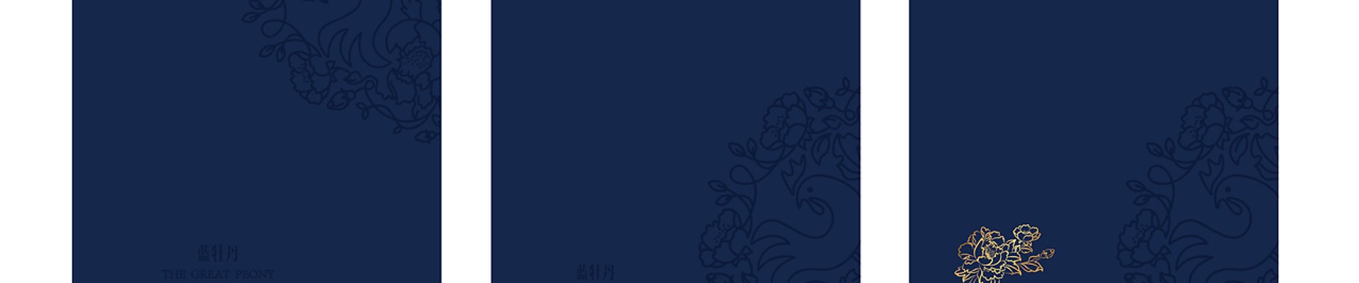 成功案例
