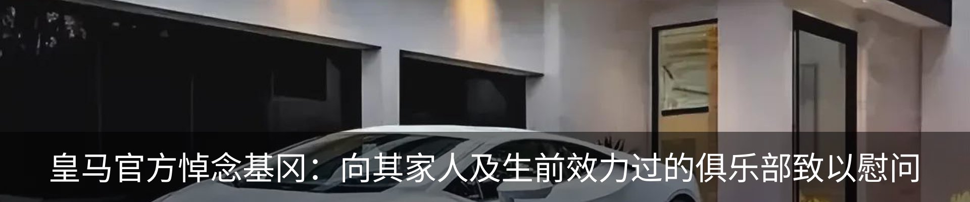 新闻动态