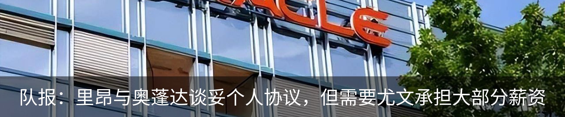 新闻动态