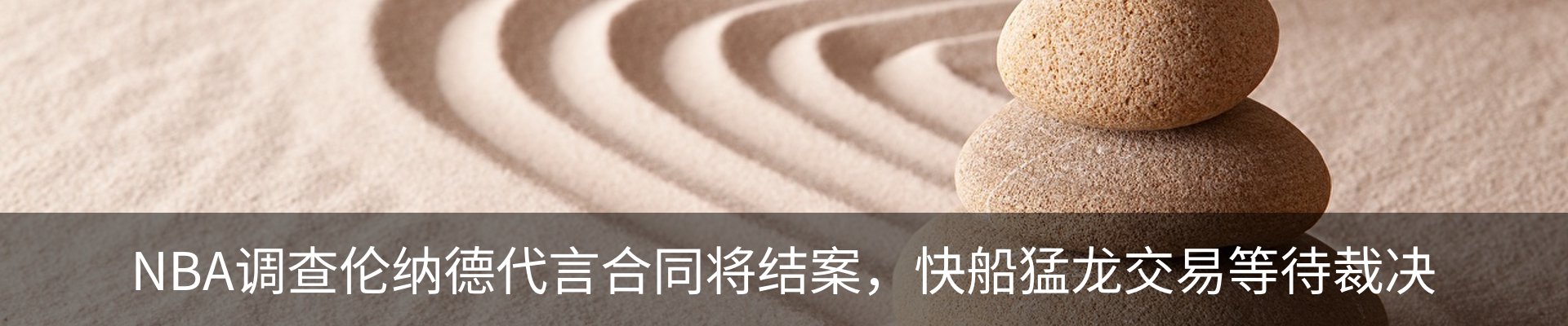 新闻动态